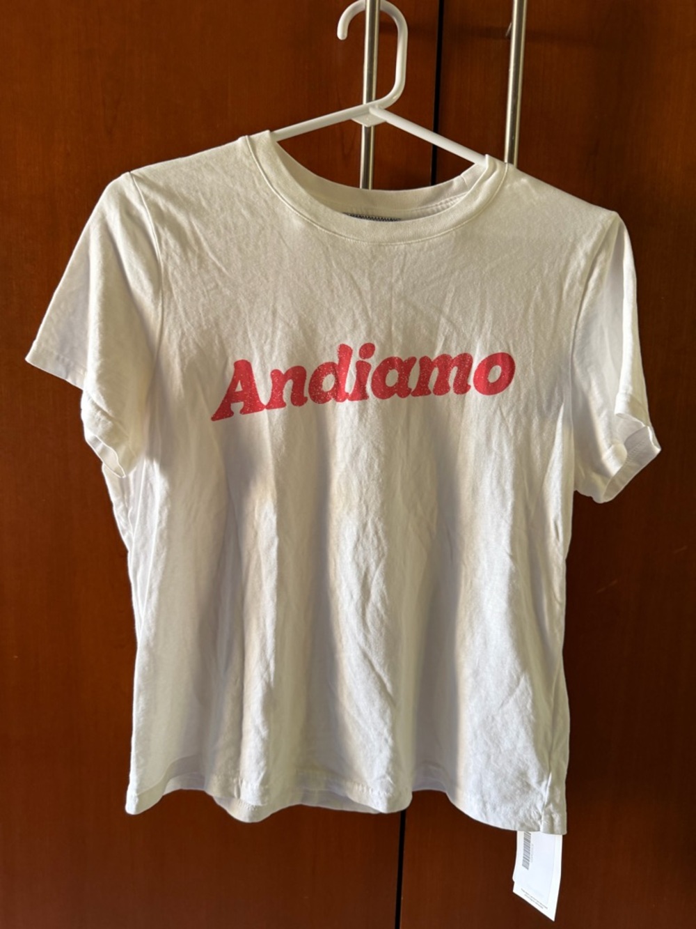 Rails x Giadzy Classic Crew Neck Tee in White w Andiamo Graphic size S